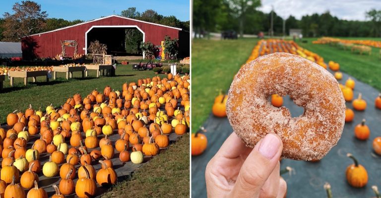 This Secret Bowdoin, Maine Orchard Is Where Locals Go For Fall Treats