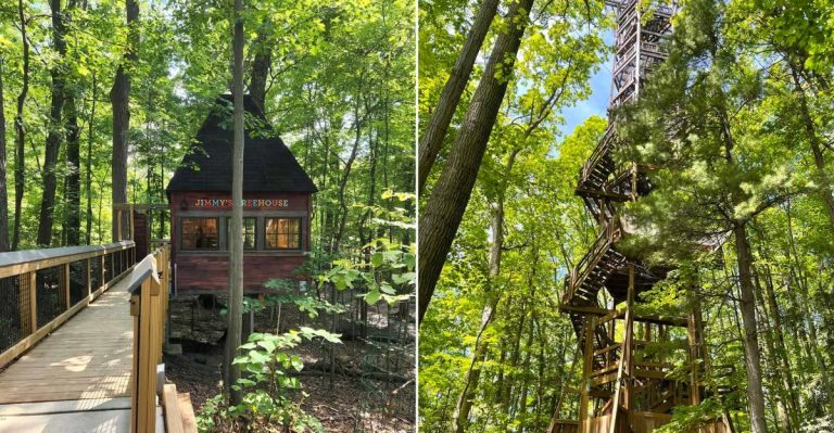8 Ohio Nature Playgrounds With Treehouses, Trails And Constant Adventure