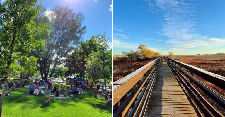 Colorado Fall Festivals That Still Feel Local Instead Of Overcrowded