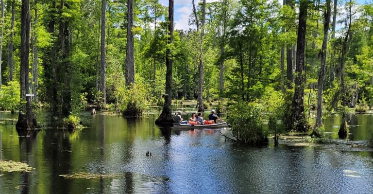 This South Carolina Park Lets You Dig Ancient Fossils Out Of The Dirt And Take Them Home