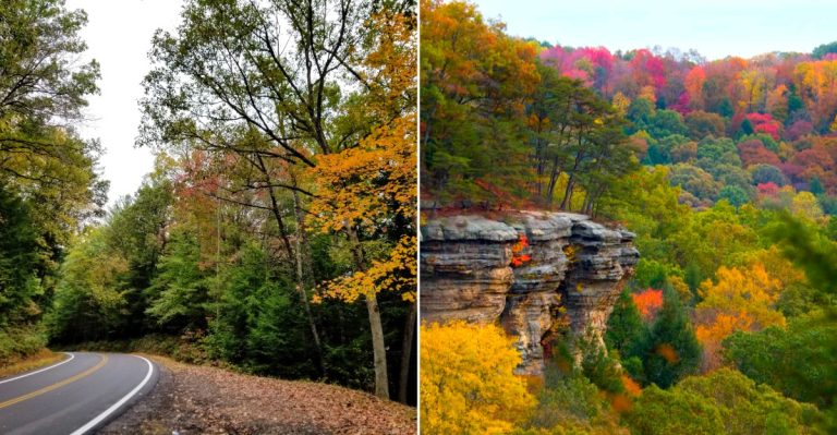 This Ohio Gorge Is One Of The Most Dramatic Places To See Fall Color