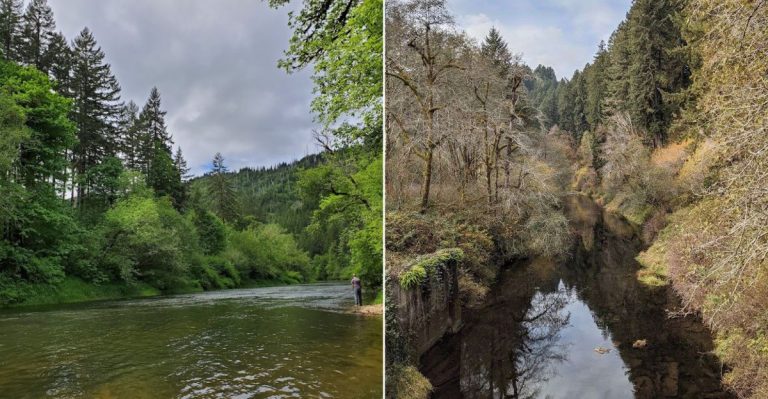 10 Hidden Oregon Rivers Perfect For A Peaceful Summer Float
