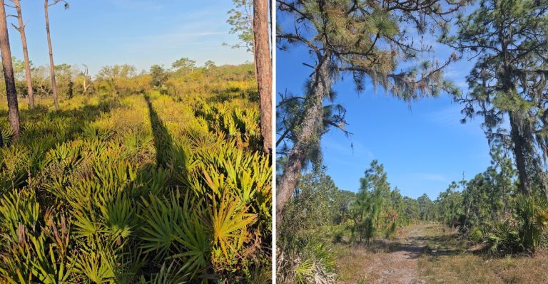 10 Lesser-Known Hikes In Florida To Add To Your 2026 Bucket List