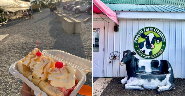 This Delaware Dairy Farm Turns Its Own Milk Into Ice Cream Right On The Farm