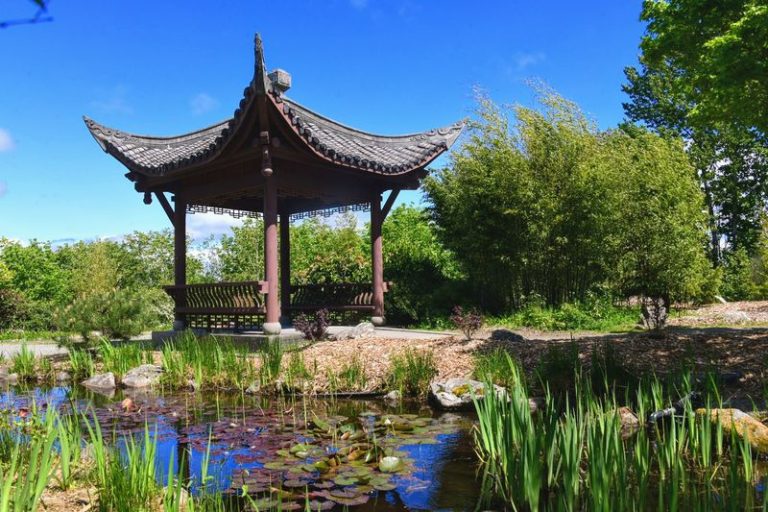 Glowing Lanterns Light Up This Washington Chinese Garden Every Fall, And Strolling It Costs Next To Nothing