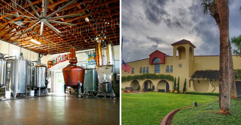 9 Florida Factory Tours That Make Surprisingly Fun Day Trips In 2027