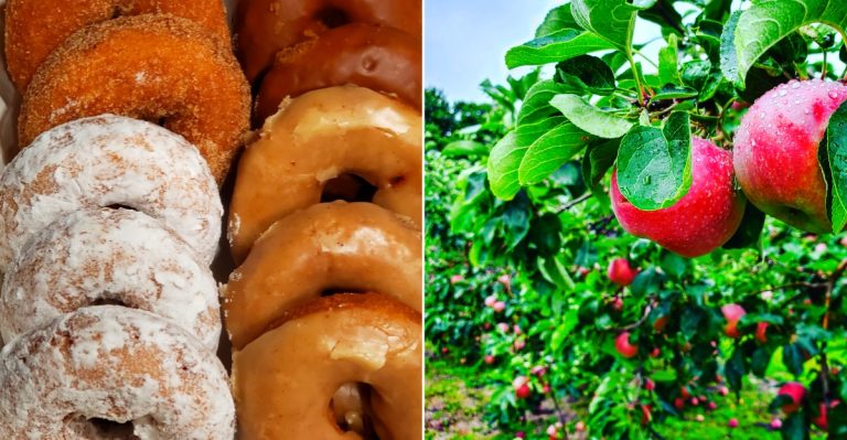 Knaebe’s Apple Farm & Ciderworks