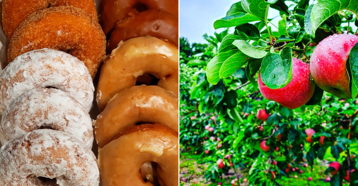 Knaebe’s Apple Farm & Ciderworks