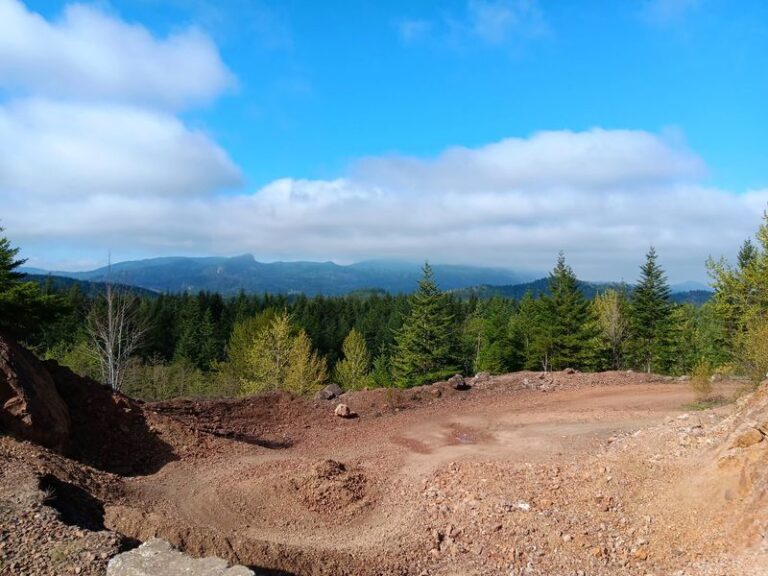 Dig Your Own Gemstones Or Fossils To Take Home At These 8 Washington Spots