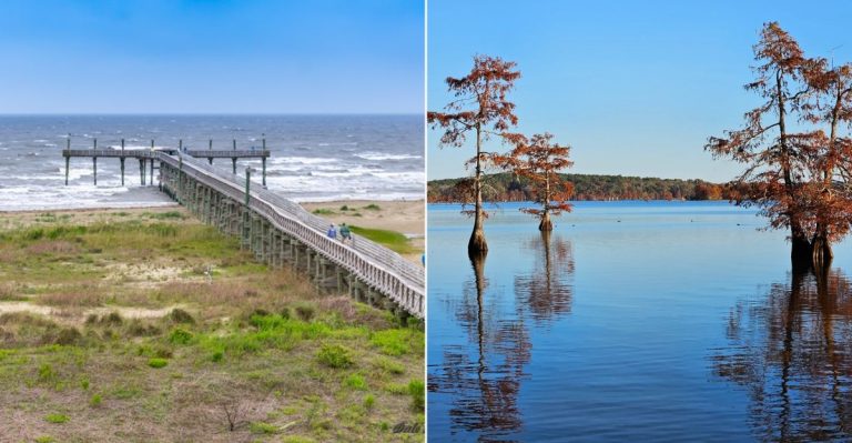 12 Louisiana Campgrounds Where You Can Sleep Surrounded By Wild Nature