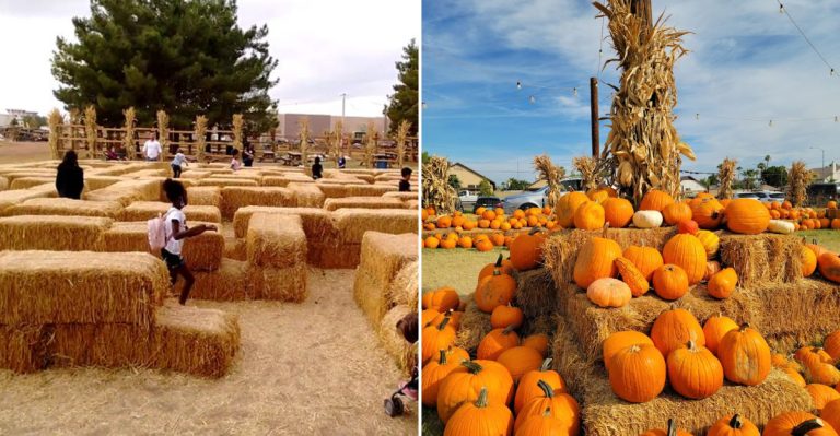 Pick Pumpkins, Snap Holiday Photos And Feed Goats At This Charming Arizona Farm Day Trip Made For Family Fun