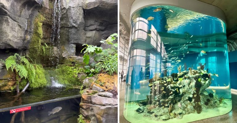 This South Carolina Aquarium Transforms Into An Adults-Only Underwater Escape After Dark