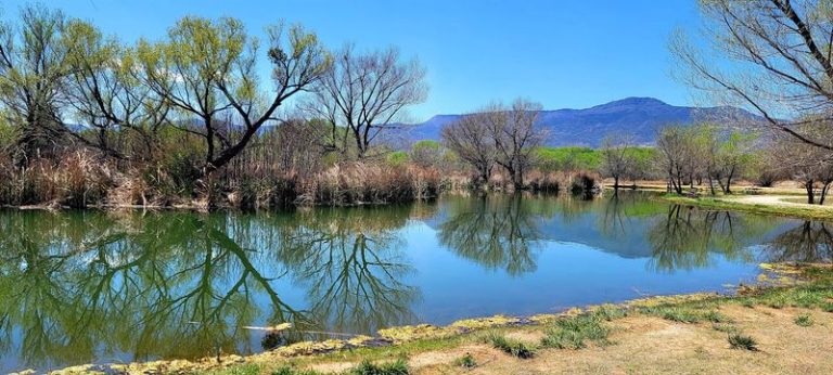 This Quiet Arizona Town Has Rent Under $900 And Small-Town Charm Everyone’s Talking About