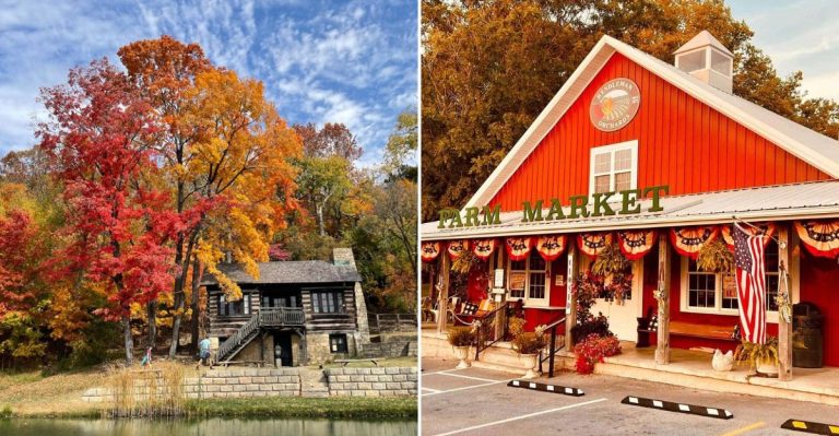12 Illinois Fall Day Trips That Deliver Big Fun Without Draining Your Wallet