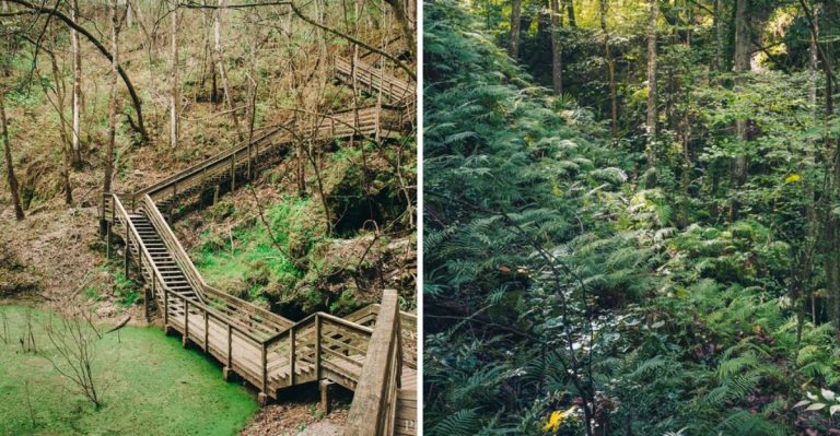 A Mini Grand Canyon Has Been Quietly Hiding In Florida This Whole Time And Almost Nobody Talks About It