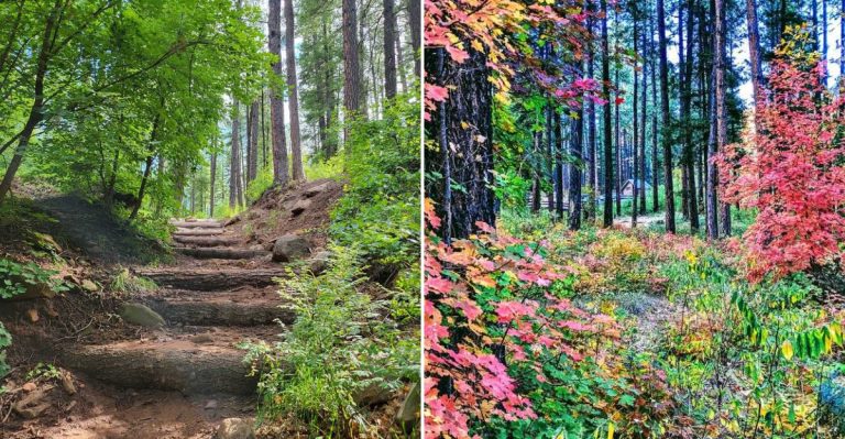 This Shaded Arizona Trail Is The Ultimate Late Summer Weekend Getaway
