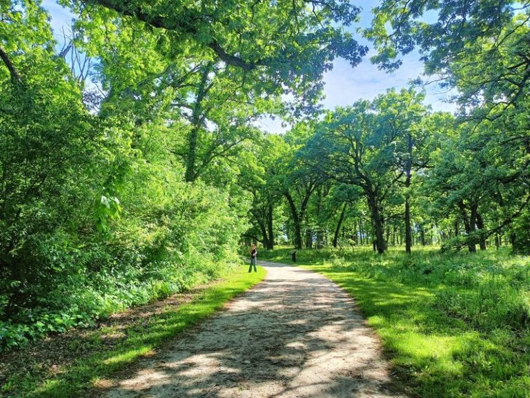 This Illinois Prairie Preserve Lets You Walk Miles Of Restored Grassland And Spot Migrating Birds