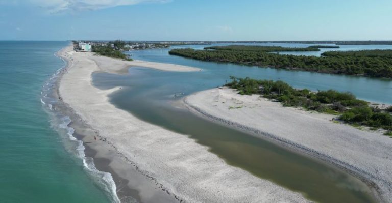 12 Florida Gulf Coast Shelling Spots Where Sand Dollars And Secret Gems Wait