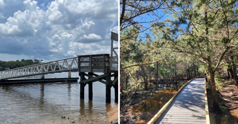 This Secret Florida Island Park Is Hiding Right Beneath The Mathews Bridge