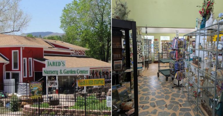 Twenty-Five Acres Of Plants, Koi, And Garden Finds Await At This Colorado Nursery In Littleton