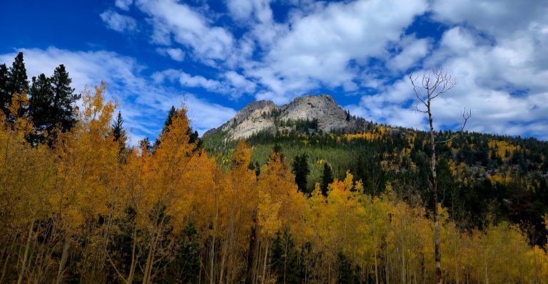 10 Breathtaking Fall Colorado Day Trips Your Family Will Still Be Talking About  Years Later