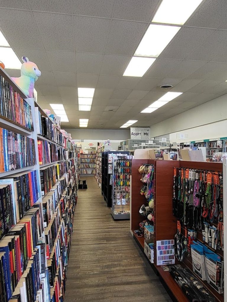 This Charming Illinois Bookstore Lets You Browse For Hours With Rescue Cats Nearby