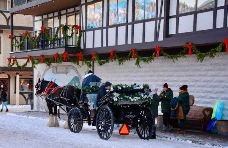 You Can Sip Cocoa And Ride A Sleigh Through This Storybook Washington Christmas Village Each December