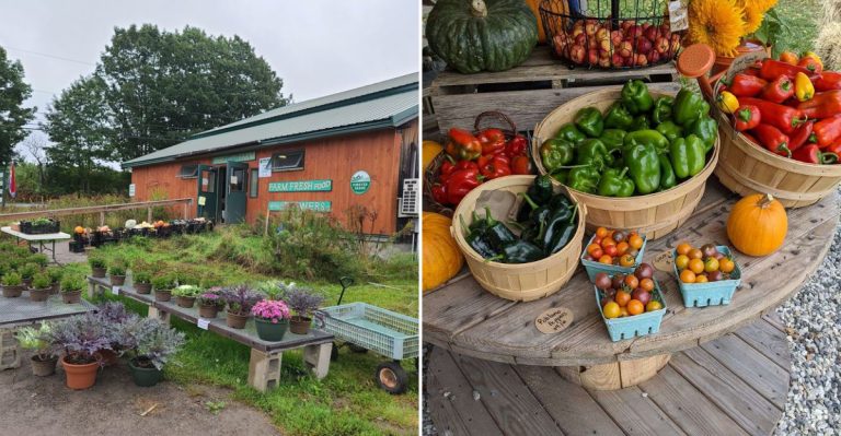 Wonderful Farm Stands In Maine That Are Completely Worth A Summer Drive