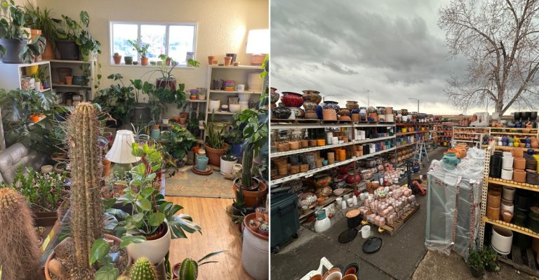 This Colorado Garden Warehouse Is A Goldmine For Affordable Pots And Backyard Finds