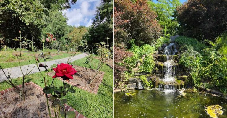 8 Incredible Georgia Botanical Gardens That Shine During The Summer Months