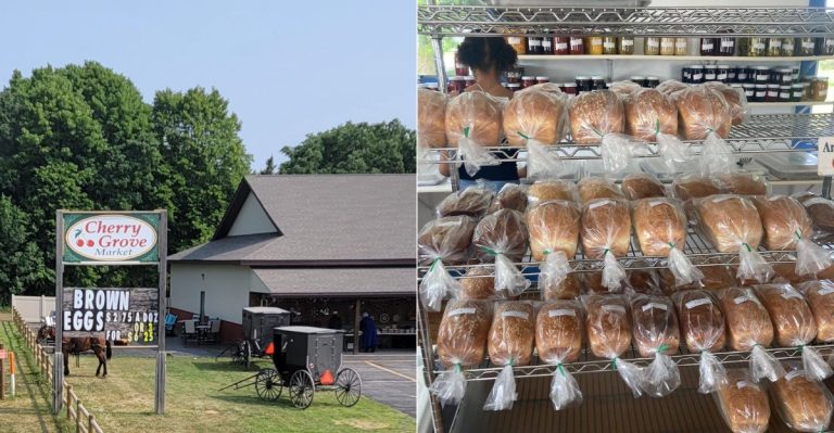Families Are Saving Big At These 8 Amish Bulk Food Stores Across Minnesota