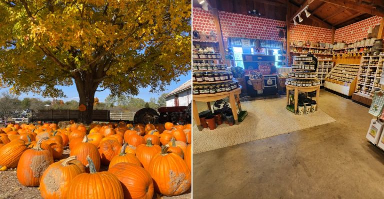 8 Ohio Orchards Where Caramel Apples Are Worth A Halloween Detour