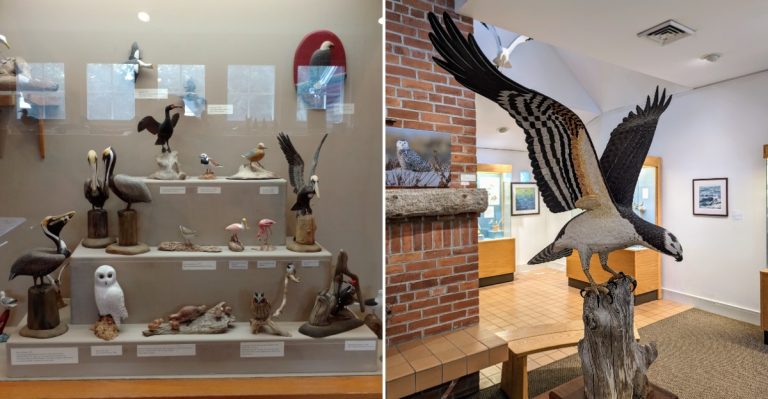 This Maine Museum Has More Than 300 Hand-Carved Birds Under One Roof