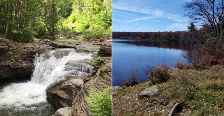 10 Pennsylvania Hiking Trails Locals Avoid In Late Summer Because Of Active Black Bears