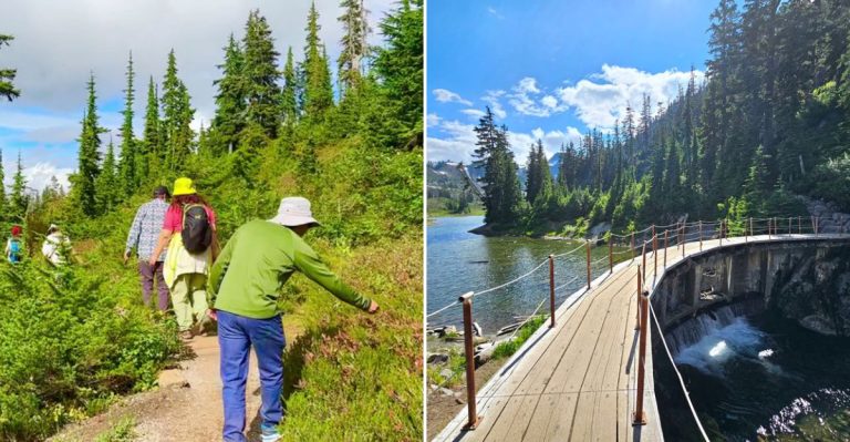 The Easy 1.4-Mile Washington Trail That Offers Huge Views Without The Long Hike