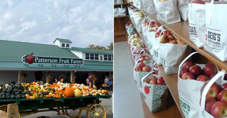 11 Ohio September Weekend Trips With Apples, Hayrides, And Country Views