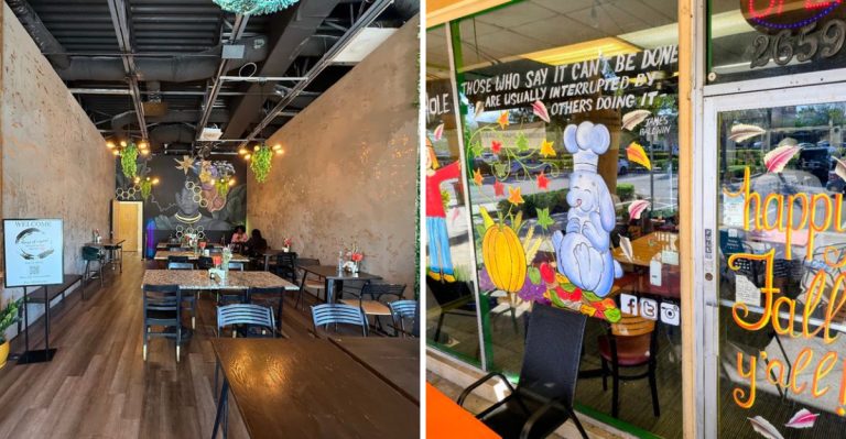 11 Florida Vegan Restaurants So Good Even Meat Lovers Keep Coming Back