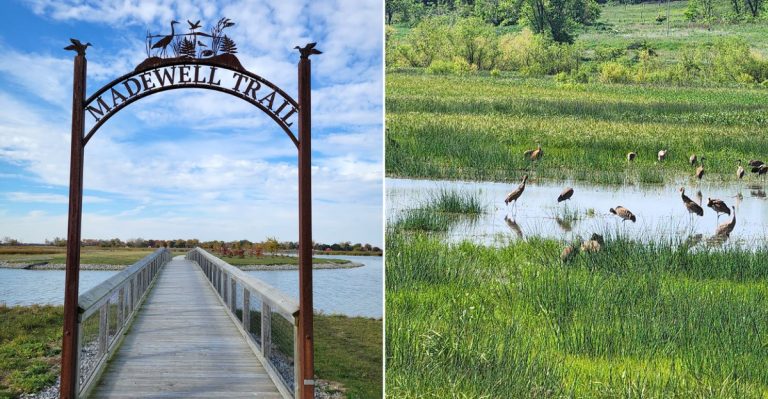 11 Ohio Wetland Refuges That Come Alive As Summer Starts To Wind Down