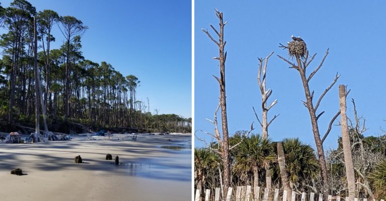 South Carolina Has An Island That Looks Like The Caribbean Without The Price  Tag