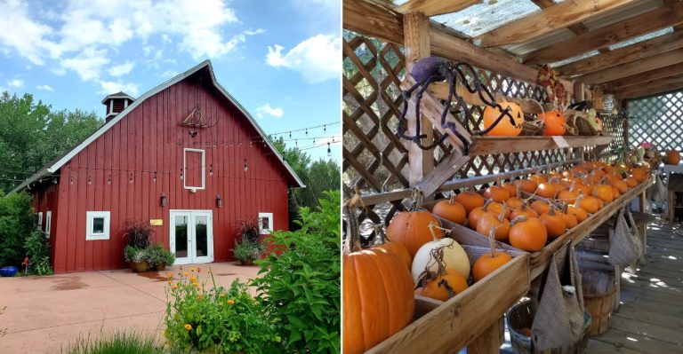 12 Colorado Places To Take The Kids For Halloween Fun Beyond Trick-Or-Treating