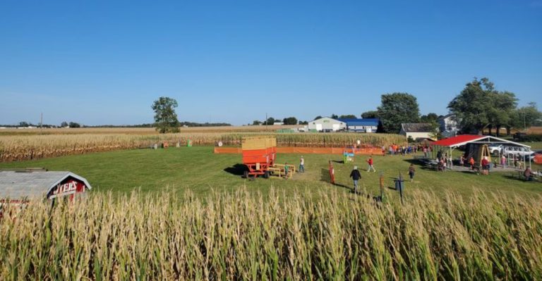 This Ohio Farm Turns September Weekends Into Corn Mazes, Sunflowers, And Hayrides
