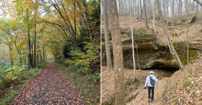13 Ohio Nature Preserves Made For Incredible Fall Hikes