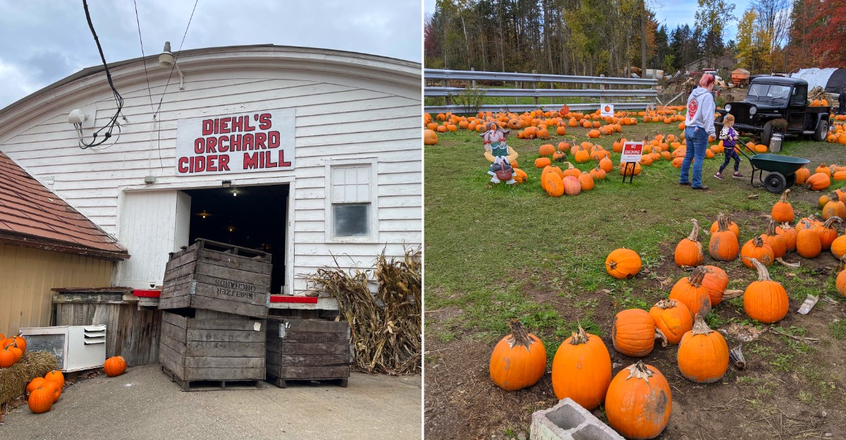Michigan Pumpkin Patches