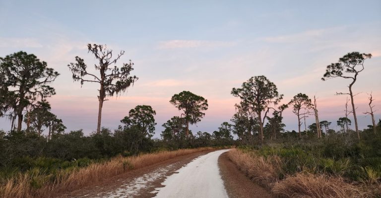 This Hidden 845-Acre Florida State Park Feels Almost Completely Forgotten