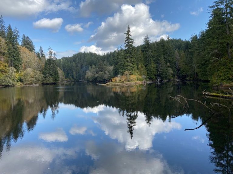 This Enchanting Washington State Park Stays So Overlooked Even Most Locals Haven’t Found It