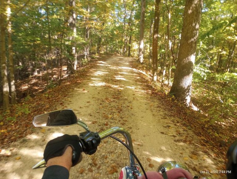 This Historic Southern Illinois Forest Trail Follows A Path Of Resilience Every Family Should Walk Once