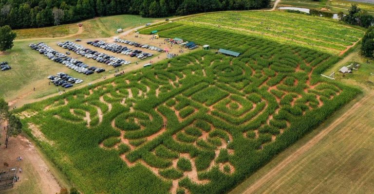 This South Carolina Pumpkin Patch Is Easy To Miss, And Families Keep Coming Back