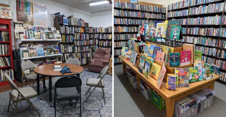 This Central Florida Bookstore Holds Thousands Of Books With Cats Keeping Watch Over The Shelves