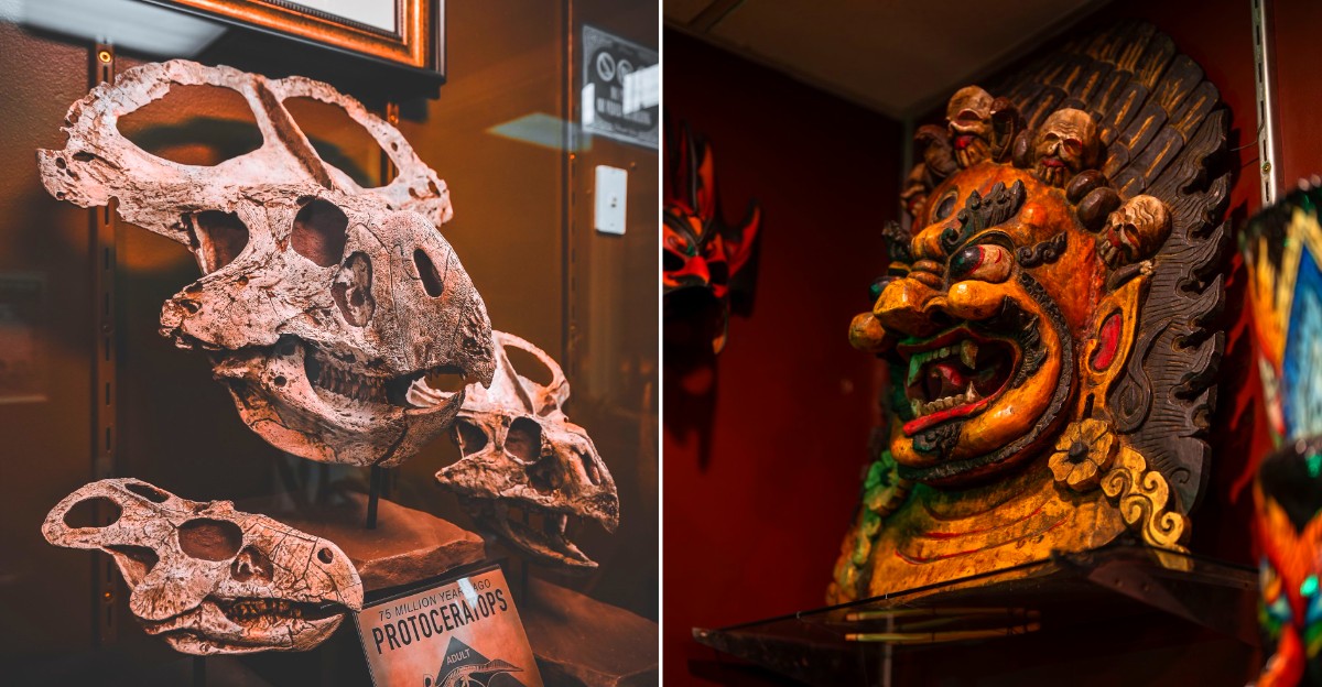 Mythos Museum of Oddities & Curiosities