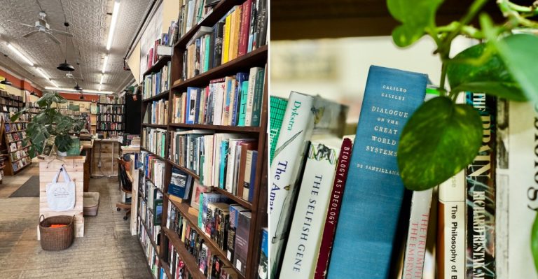 This Maine Bookstore Has More Than 30,000 Titles Inside A Former Department Store